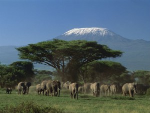 Kenia. 
