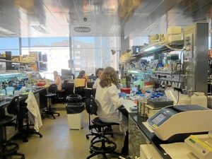 España está presente numerosos ensayos clínicos europeos.