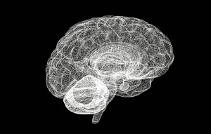 Cerebro esquema del Human Brain Project