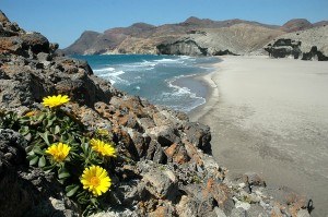 Parque Natural Cabo de Gata. / Foto: Juan Aurelio Sáez Lara. 