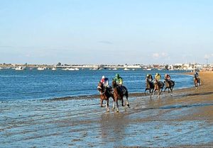 Carrera de caballos en las Fiestas de Interés Turístico Internacional