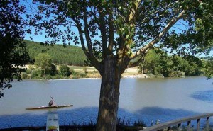 El Pisuerga acoge esta esperada cita. / Foto: Oficina de Turismo de Palencia