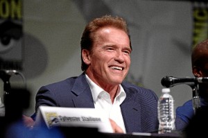 El actor Arnold Schwarzenegger. / Foto: www.walpapershddownload.com