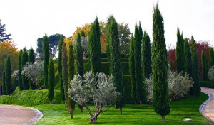 Bosque del Recuerdo. 