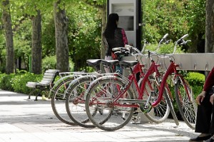 Los ciudadanos pueden contribuir a combatir el cambio climática, por ejemplo, usando más la bicicleta y menos el coche.