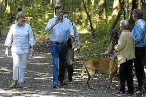 Merkel apoyará la candidatura de Luis de Guindos.