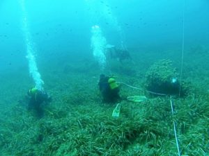 Las profundidades almerienses esconden esta maravilla natural.