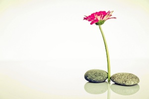 El ‘Zen’ ayuda a encontrar la armonía y la paz interior. / Foto: raumrot.