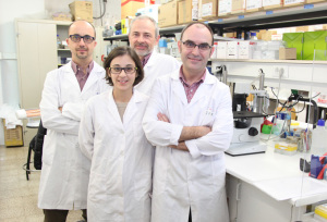  Los investigadores del Instituto de Ciencias Biomédicas de la CEU-UCH Enric Poch, José Terrado, Begoña Ballester e Ignacion Pérez Roger.