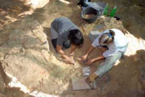 El Museo Arqueológico Regional se ocupa de las excavaciones desde 2002. / Foto: Museo Arqueológico Regional.