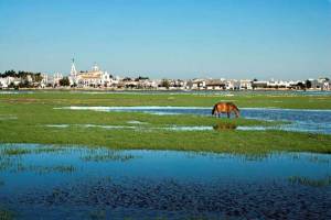 Existen muchas leyendas sobre Doñana. / Foto: sienteandalucia.com