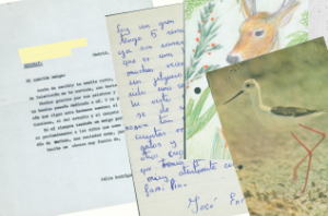 Cartas enviadas a Félix Rodríguez de la Fuente.