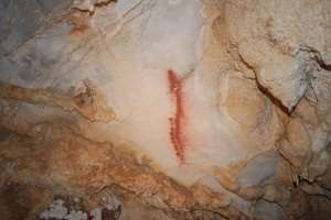 Dibujo en la cueva 'Aurea'. / Foto: Gobierno de Cantabria.