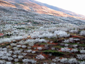 El paisaje extremeño se tiñe de blanco. / http://valledeljerte.com.es
