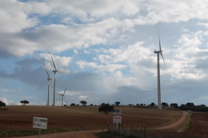 Energía eólica. 