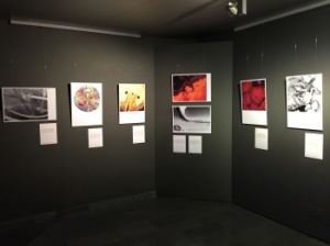 Exposición de Fotciencia12.