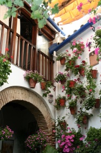 Geranios y gitanillas visten los patios cordobeses. Foto.: P.Monterroso en San Basilio, 17