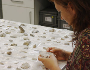 La investigadora Francesca Romagnoli.