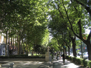 Paseo del Prado. / Foto: Tnarik