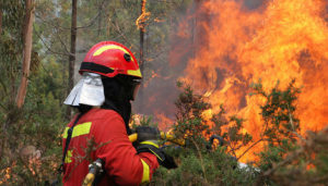 Efectivos del Cuerpo de Bomberos de A Coruña.