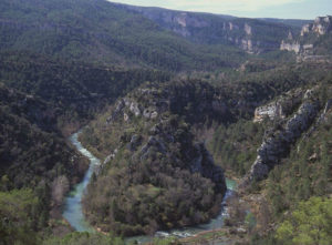 Parque Natural del Ato Tajo (Guadalajara).