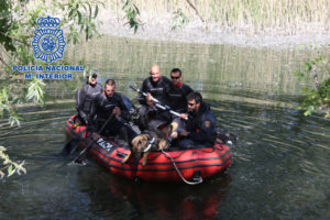 Los perros son adiestrados para localizar personas en el agua.