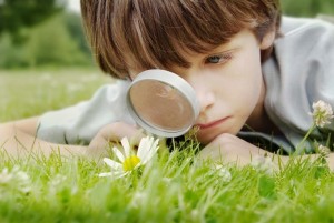 La curiosidad de un niño.