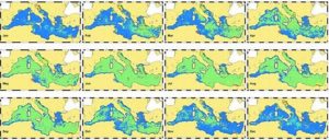 Mapa de la dinámica anual de los grupos de fitoplancton en el Mediterráneo