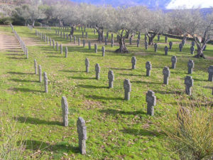 Cementerio de Cuacos de Yuste.