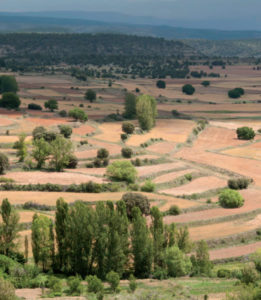 Una de las imágenes de la guía editada por la Diputación de Valencia.