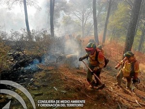 Bomberos trabajando en el paraje Los Anayas