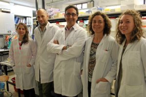 Los investigadores de la CEU-UCH participantes en el estudio.