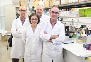 Los investigadores del Instituto de Ciencias Biomédicas de la CEU-UCH Enric Poch, José Terrado, Begoña Ballester e Ignacion Pérez Roger.