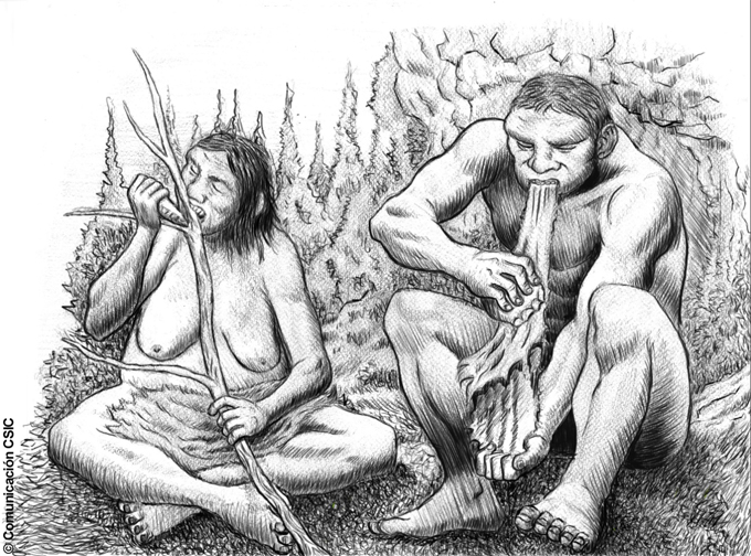 Dibujo de neandertales comiendo. / Imagen: CSIC