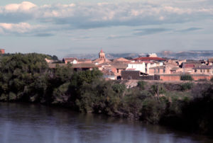 Vista de Pradilla del Ebro. / Foto: Ayuntamiento de Pradilla.