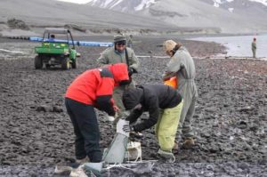 El equipo de investigadores que ha realizado el hallazgo.