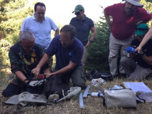 Buitre negro en el Parque de Guadarrama. / Foto: Comunidad de Madrid.