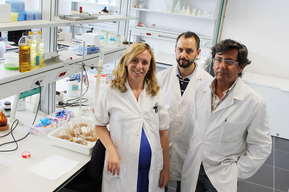 Investigadores del grupo Fitoquímica y Calidad de los Alimentos del Instituto de la Grasa (CSIC-Sevilla). / Foto: Fundación Descubre.