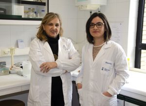 Avance para combatir una bacteria causante de infecciones gastrointestinales hospitalarias