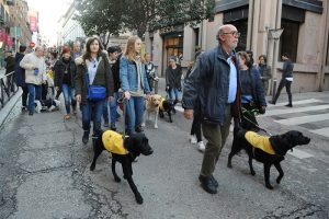 Los perros guía de la ONCE, protagonistas de las Fiestas de San Antón en Madrid