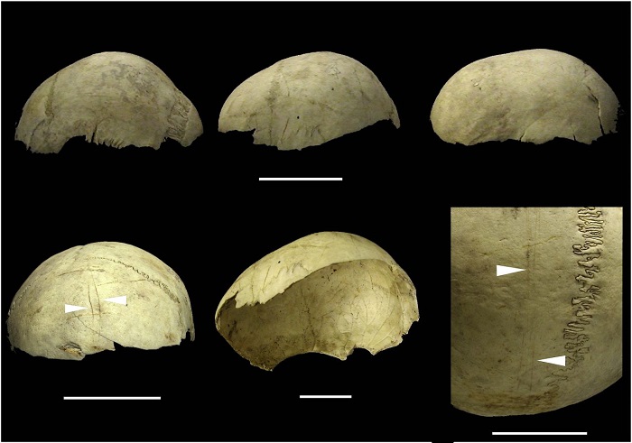 La conversión de cráneos humanos en copas, un ritual extendido hasta la edad del Bronce