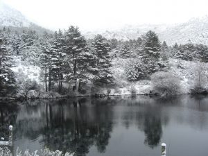 ¿Cuál es el origen del refrán 'Año de nieves, año de bienes'?