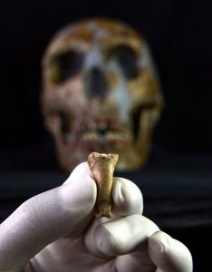 Un collar neandertal hallado en una cueva de Tarragona, en el TOP de los descubrimientos en evolución humana del 2019