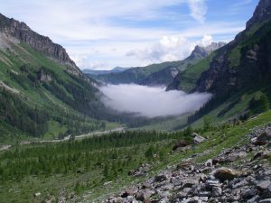 Predecir cambios en la biodiversidad y brotes de enfermedades mediante variables topo-climáticas