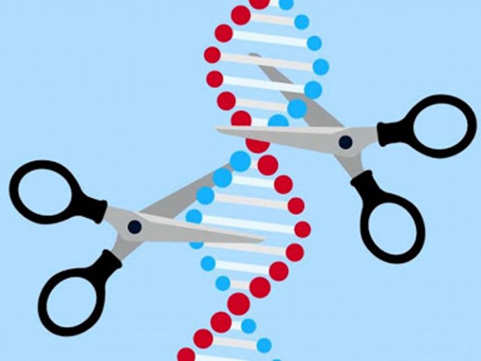 Utilizan ‘tijeras’ moleculares para destruir el genoma del COVID Utilizan ‘tijeras’ moleculares para destruir el genoma del COVID