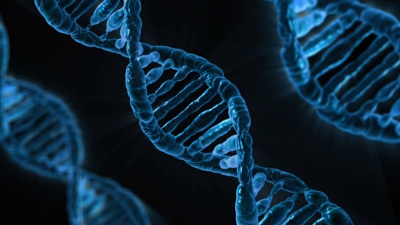 Los genes pueden determinar que se desarrollen formas graves de COVID-19