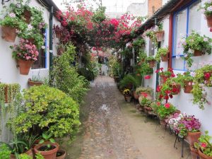 Córdoba celebrará en octubre una edición especial de sus Patios