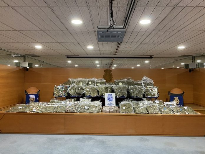 Frustran la distribución de un cargamento con 225 kilos de cogollos de marihuana