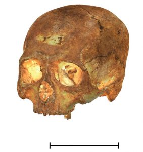 Científicos españoles participan en una reconstrucción sin precedentes en 3D de cráneos precolombinos