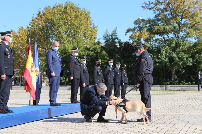 Los seis héroes caninos del Cuerpo Nacional de Policía